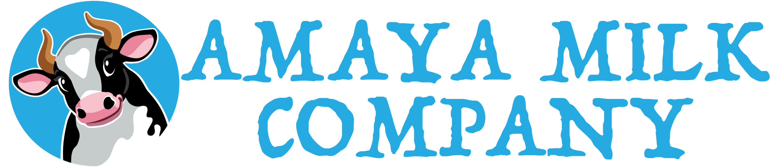 AMC-Logo-Wide-scaled